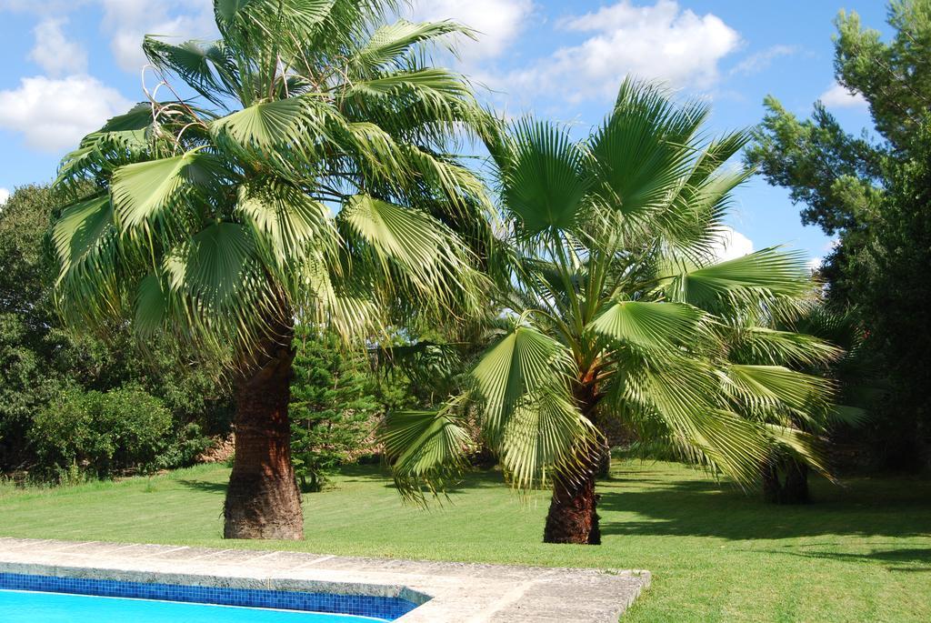 Finca Son Vivot Екстер'єр фото