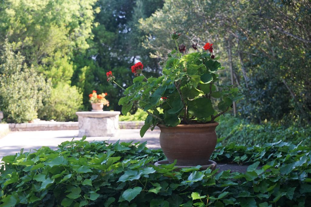 Finca Son Vivot Екстер'єр фото